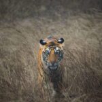 5-Days Private Luxury Golden Triangle Tour Agra Jaipur Delhi - Exploring the Delhi, Agra, and Jaipur Experience