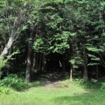 5 Hours of Pilgrimage Tour in the footage of Mt Fuji in English - A Deep Dive into the Pilgrimage Trail Experience