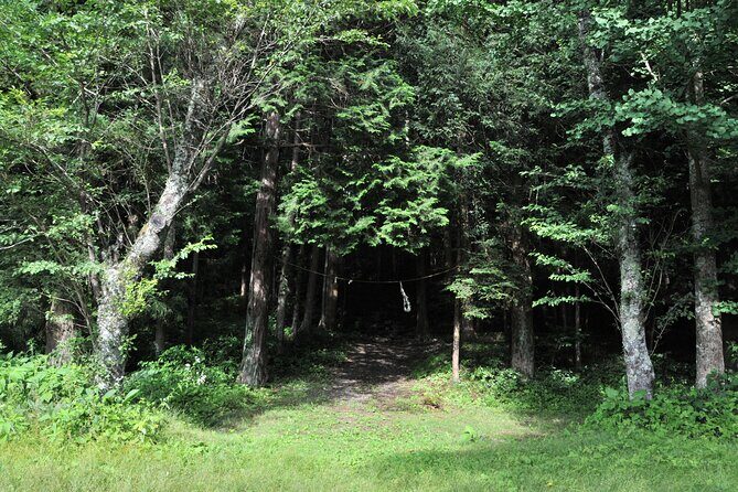 5 Hours of Pilgrimage Tour in the footage of Mt Fuji in English - A Deep Dive into the Pilgrimage Trail Experience