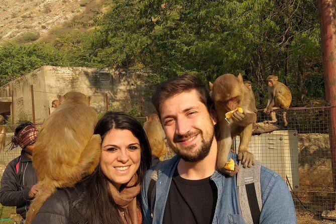 5 Nights 6 Days Private Golden Triangle Tour - Delhi Agra Jaipur - Why This Tour Delivers Outstanding Value