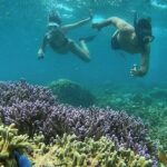 5 Secret Gili Snorkeling & Hoping Island from Gili Gede to Asahan - Why This Tour Offers Great Value