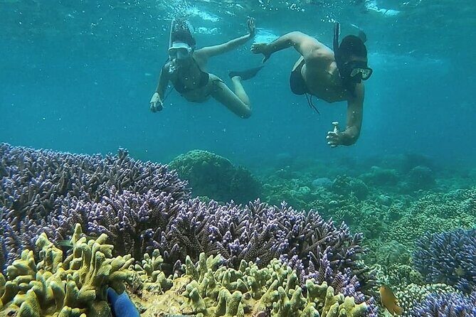 5 Secret Gili Snorkeling & Hoping Island from Gili Gede to Asahan - Why This Tour Offers Great Value
