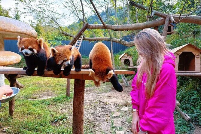 6-Day Chengdu Free Tour with Accommodation and Airport Transfer - Why Choose This Tour?