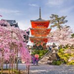 6 Days Japan Kanto, Kansai Tour - Who Should Consider This Tour?