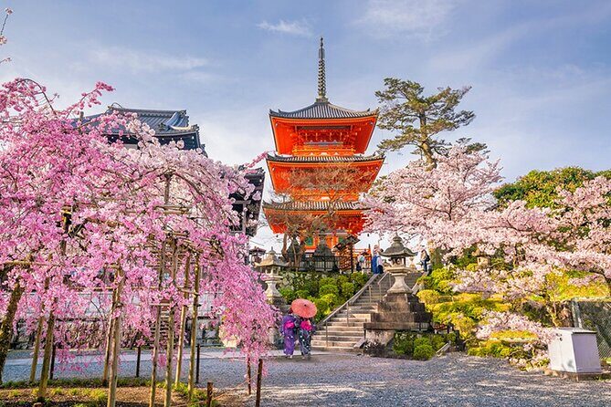 6 Days Japan Kanto, Kansai Tour - Who Should Consider This Tour?