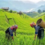 6 Days Tour to North of Vietnam - Practicalities and Tips