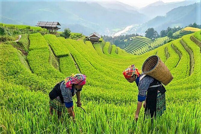 6 Days Tour to North of Vietnam - Practicalities and Tips