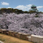 6 Hours Osaka Tour with National Licensed Guide - Practical Aspects and Tips