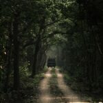 7-Day Royal Bengal Tiger & One-horned Rhino in Bardiya - Final Thoughts: Is It Worth It?