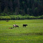 7-Day Yunnan Culture & Nature Tour - Practical Considerations and Value