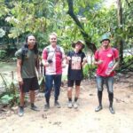 7 Days 6 Nights North Sumatra Tour (Bukit Lawang-Berastagi-Lake Toba) - What This Tour Means for You