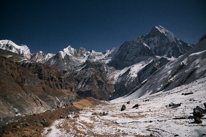7 Days Annapurna Base Camp Trekking - What Makes This Trek Stand Out?