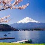 7 Days Customized Tokyo and Kansai Classic Family Tour - An In-Depth Look at the Itinerary and What You Can Expect