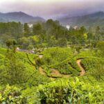 7 Days Kerala Tour- Munnar, Periyar, Houseboat & Varkala Beach - Why This Tour Is a Wise Choice for Travelers