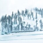 7 Days Private Travel Psychology Journey to Unseen Kashmir - The Experience of Travel Psychology in Kashmir