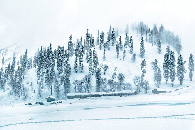 7 Days Private Travel Psychology Journey to Unseen Kashmir - The Experience of Travel Psychology in Kashmir