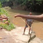 7 days Sri Lanka | 4 star hotels with BB | Private tour - Final Thoughts