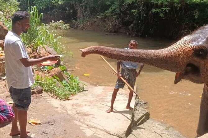 7 days Sri Lanka | 4 star hotels with BB | Private tour - Final Thoughts