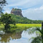 7 Days Sri Lanka Safari Tour - Authentic Experiences and Why They Matter
