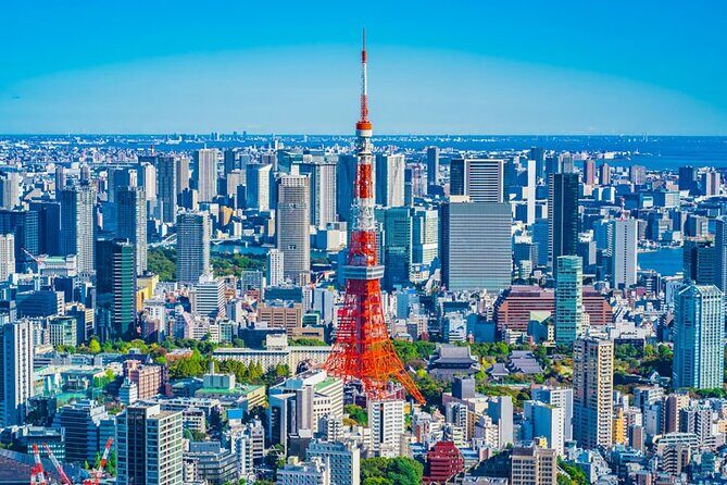 7 Hour Private Tour of Tokyo - Who Would Benefit Most?