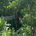 7 Hour Sticky Waterfall and Zipline Adventure - Who Will Love This Tour?