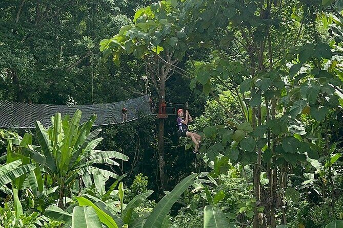 7 Hour Sticky Waterfall and Zipline Adventure - Who Will Love This Tour?