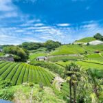 7hr Private Wazuka True Hidden Kyoto Matcha Farm Experience - Practical Details & Considerations