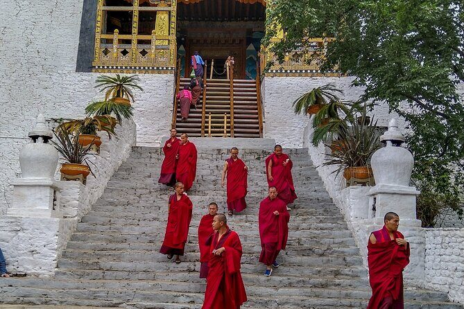 8 Day Cultural Immersion - Why This Tour Offers Great Value