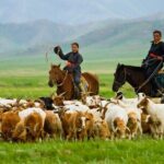 8 Days / 8 Lake area Central Mongolian horse trekking - Practical Considerations and What to Expect