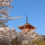 8 Hour Private Tour of Kyoto - Practical Details and What They Mean for You