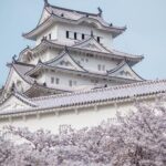 9-Day Japan and South Korea Highlight Tour - FAQs