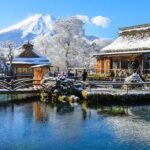 9 Days All Inclusive Japan Classic with Private Guide and Driver - Who Will Enjoy This Tour?