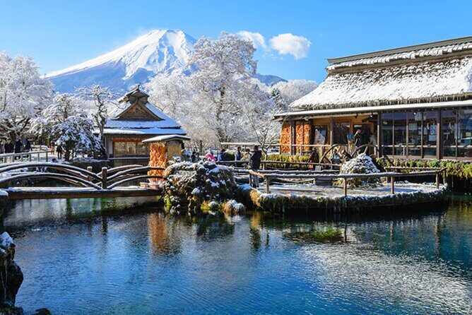 9 Days All Inclusive Japan Classic with Private Guide and Driver - Who Will Enjoy This Tour?