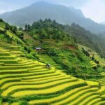 9 Days Northern Vietnam from the Mountain to the Bay - Scenic Drive and Village Life