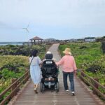 A comfortable wheelchair trip & east of Jeju - Authentic Insights from Previous Travelers