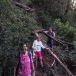 A Day in Nuwara Eliya: Sights & Local Delights - Who Will Love This Tour?