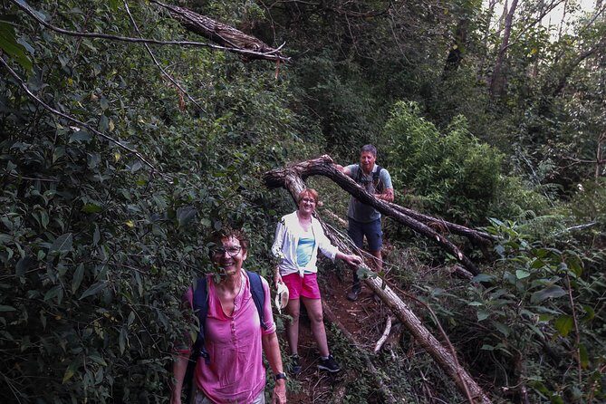 A Day in Nuwara Eliya: Sights & Local Delights - Who Will Love This Tour?