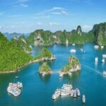 A Day in Paradise: Halong Bay Shore Excursion - Who Would Love This Tour?