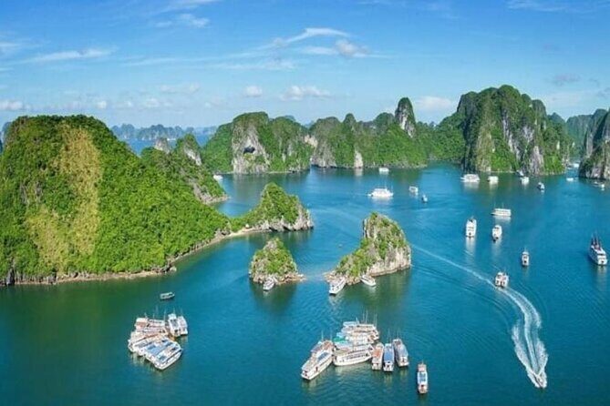 A Day in Paradise: Halong Bay Shore Excursion - Who Would Love This Tour?