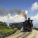 A Full Day Tour Of Darjeeling - A Deep Dive into the Darjeeling Day Tour