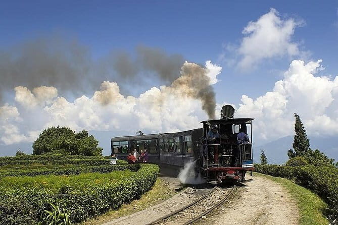 A Full Day Tour Of Darjeeling - A Deep Dive into the Darjeeling Day Tour