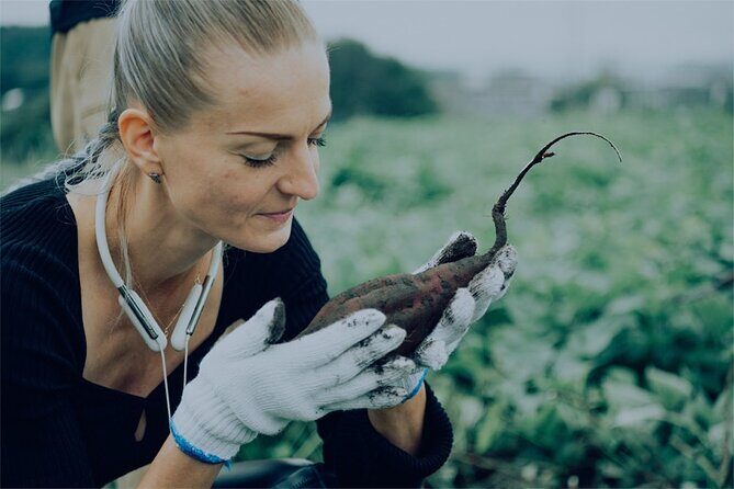 A Gastronomic Tour Exploring the Cycle of Nature and Food - Why This Tour Matters