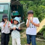 A Peach-Lovers Treat: Orchard Walk & Peach-Topped Soft Serve - The Value and Who This Tour Is For