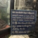 A Private Trip to Kanchipuram & Mahabalipuram from Chennai - Exploring Kanchipuram: Temples and Silk