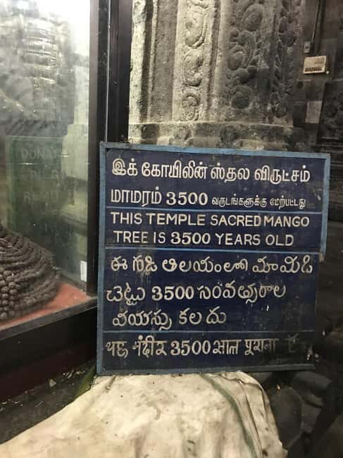 A Private Trip to Kanchipuram & Mahabalipuram from Chennai