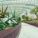 A Self Guided Tropical Sojourn of Singapore Hidden Enclaves - Practical Tips and Insights