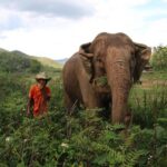 A stunning 11 Day Tuk Tuk Adventure in Northern Thailand - with driver - What Makes This Tour Special?