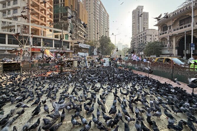 A Symphony of Seven Islands - Discover Mumbai's story in One Day - FAQ