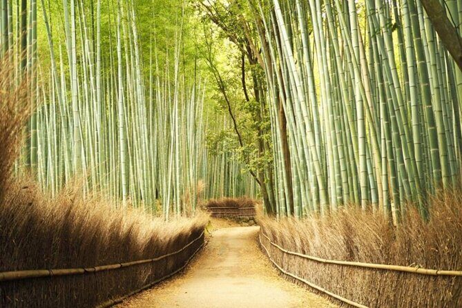 A trip to Kyoto and Osaka in one day - Final Thoughts