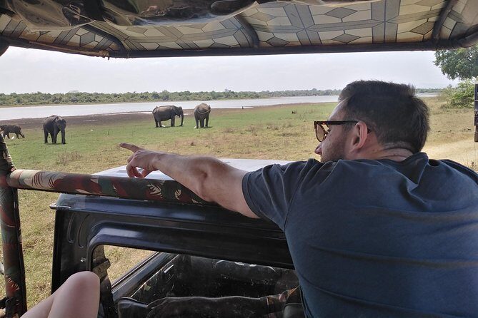 A Udawalawa Park safari, Tour from Colombo/Galle- (All inclusive) - Transportation and Comfort